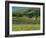 Field Walls of Littondale, Yorkshire Dales National Park, England-Paul Harris-Framed Photographic Print