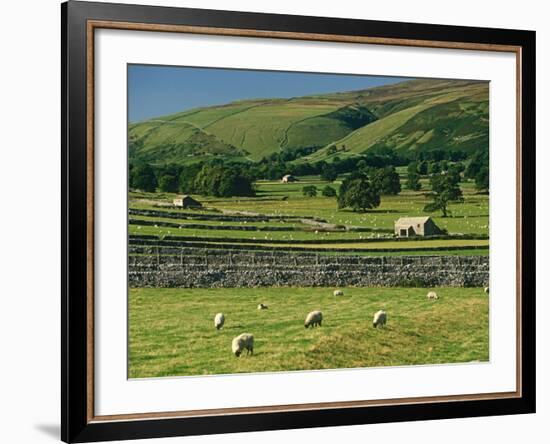 Field Walls of Littondale, Yorkshire Dales National Park, England-Paul Harris-Framed Photographic Print