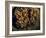 Field Wasps, Many, Colony, Honeycomb-Harald Kroiss-Framed Photographic Print