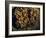 Field Wasps, Many, Colony, Honeycomb-Harald Kroiss-Framed Photographic Print