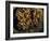 Field Wasps, Many, Colony, Honeycomb-Harald Kroiss-Framed Photographic Print