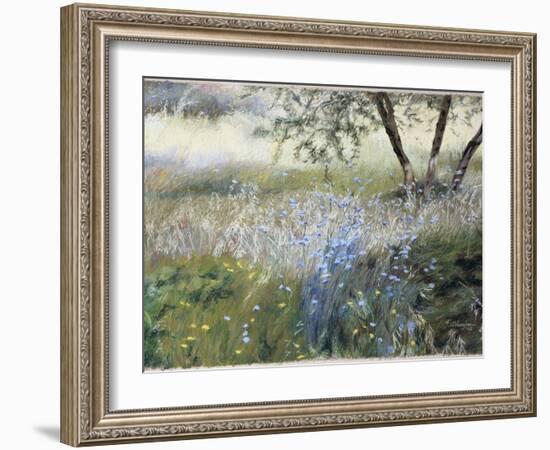 Field with Blue Flowers-Helen J. Vaughn-Framed Giclee Print