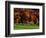 Field with Cows and Fall Color, Vermont, USA-Charles Sleicher-Framed Photographic Print