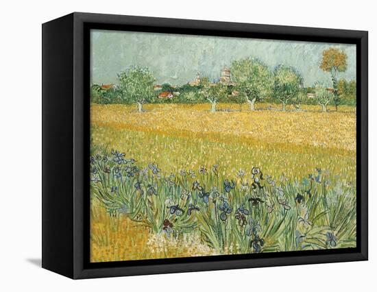 Field with Irises Near Arles-Vincent van Gogh-Framed Premier Image Canvas