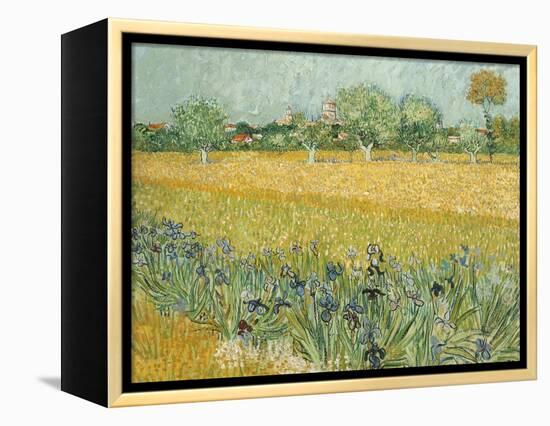 Field with Irises Near Arles-Vincent van Gogh-Framed Premier Image Canvas