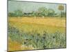 Field with Irises Near Arles-Vincent van Gogh-Mounted Giclee Print