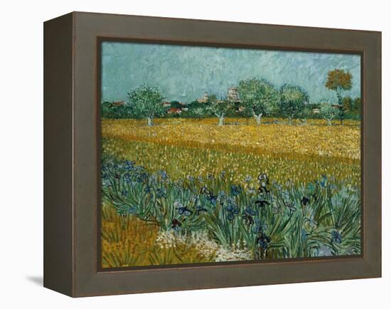 Field With Irises-Vincent van Gogh-Framed Premier Image Canvas