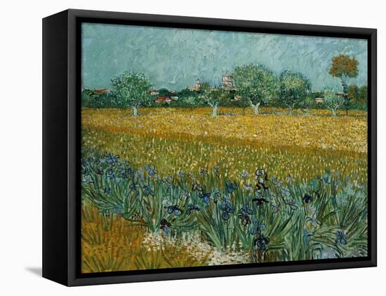 Field With Irises-Vincent van Gogh-Framed Premier Image Canvas