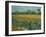 Field With Irises-Vincent van Gogh-Framed Giclee Print