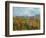 Field with Poppies-Vincent van Gogh-Framed Giclee Print