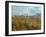 Field with Poppies-Vincent van Gogh-Framed Giclee Print