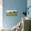 Field with silo and barn in the background, Ohio, USA-Panoramic Images-Photographic Print displayed on a wall