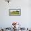 Field with silo and barn in the background, Ohio, USA-Panoramic Images-Framed Photographic Print displayed on a wall