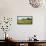 Field with silo and barn in the background, Ohio, USA-Panoramic Images-Framed Premier Image Canvas displayed on a wall