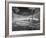 Field-J.D. Mcfarlan-Framed Photographic Print