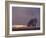 Field-PhotoINC-Framed Photographic Print