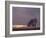 Field-PhotoINC-Framed Photographic Print