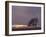 Field-PhotoINC-Framed Photographic Print