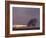 Field-PhotoINC-Framed Photographic Print