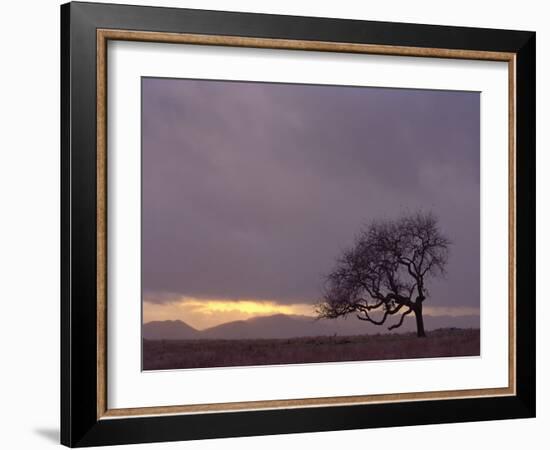 Field-PhotoINC-Framed Photographic Print