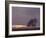 Field-PhotoINC-Framed Photographic Print