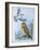 Fieldfare (Turdus Pilaris) Splashing its Droppings Against Tawny Owl (Stix Aluco) to Defend its Ter-null-Framed Premium Giclee Print