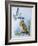 Fieldfare (Turdus Pilaris) Splashing its Droppings Against Tawny Owl (Stix Aluco) to Defend its Ter-null-Framed Premium Giclee Print