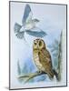 Fieldfare (Turdus Pilaris) Splashing its Droppings Against Tawny Owl (Stix Aluco) to Defend its Ter-null-Mounted Giclee Print