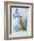 Fieldfare (Turdus Pilaris) Splashing its Droppings Against Tawny Owl (Stix Aluco) to Defend its Ter-null-Framed Giclee Print