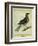 Fieldfare-Georges-Louis Buffon-Framed Giclee Print