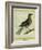 Fieldfare-Georges-Louis Buffon-Framed Giclee Print