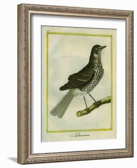 Fieldfare-Georges-Louis Buffon-Framed Giclee Print