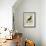 Fieldfare-Georges-Louis Buffon-Framed Giclee Print displayed on a wall