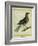 Fieldfare-Georges-Louis Buffon-Framed Giclee Print