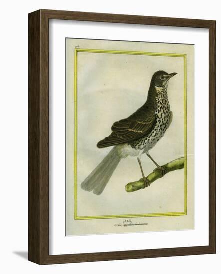 Fieldfare-Georges-Louis Buffon-Framed Giclee Print