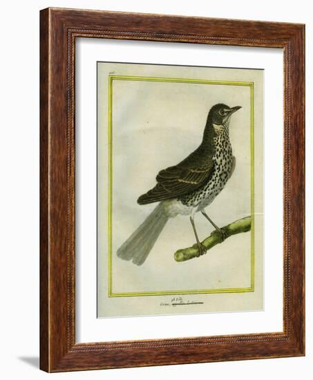 Fieldfare-Georges-Louis Buffon-Framed Giclee Print