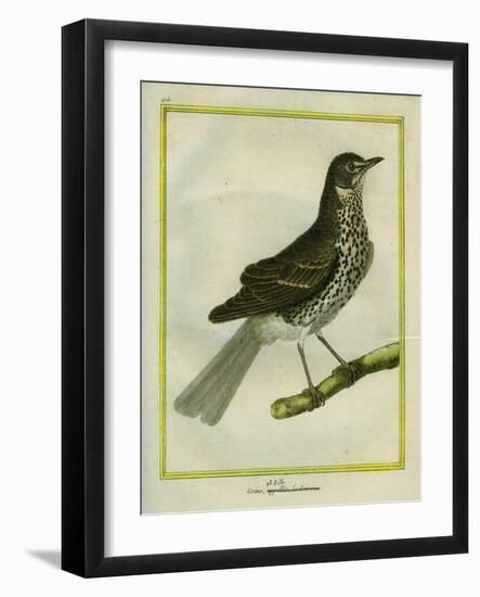 Fieldfare-Georges-Louis Buffon-Framed Giclee Print