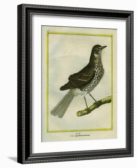 Fieldfare-Georges-Louis Buffon-Framed Giclee Print