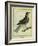 Fieldfare-Georges-Louis Buffon-Framed Giclee Print