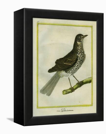 Fieldfare-Georges-Louis Buffon-Framed Premier Image Canvas