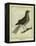 Fieldfare-Georges-Louis Buffon-Framed Premier Image Canvas