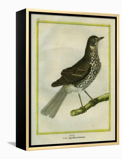 Fieldfare-Georges-Louis Buffon-Framed Premier Image Canvas