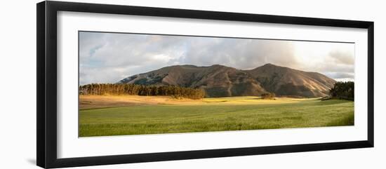 Fields and hills late afternoon sunlight, Imbabura Province, Ecuador-null-Framed Photographic Print