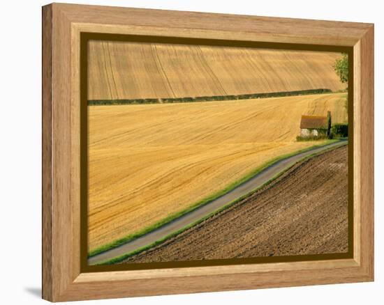 Fields and Rural Road Near Old Winchester Hill, Hampshire, England, UK-Jean Brooks-Framed Premier Image Canvas