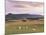 Fields and Sheep Near Oldmeldrum, Aberdeenshire, Scotland, United Kingdom, Europe-Patrick Dieudonne-Mounted Photographic Print