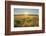 Fields at sunrise, Summer, Gerolzahn, Odenwald, Baden Wurttemberg, Germany-Raimund Linke-Framed Photographic Print