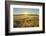 Fields at sunrise, Summer, Gerolzahn, Odenwald, Baden Wurttemberg, Germany-Raimund Linke-Framed Photographic Print