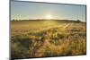 Fields at sunrise, Summer, Gerolzahn, Odenwald, Baden Wurttemberg, Germany-Raimund Linke-Mounted Photographic Print