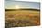 Fields at sunrise, Summer, Gerolzahn, Odenwald, Baden Wurttemberg, Germany-Raimund Linke-Mounted Photographic Print