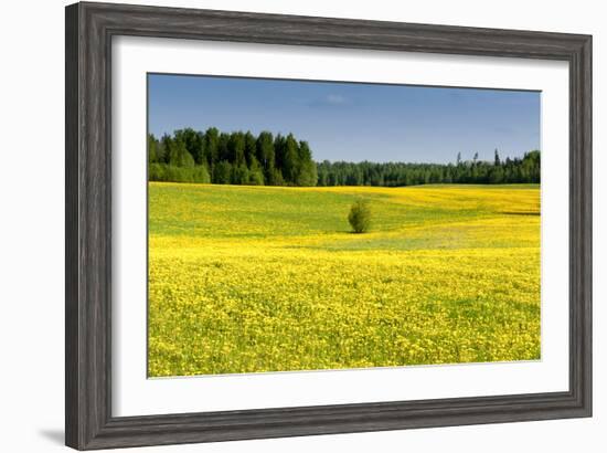 Fields at Varska, Estonia, Baltic States-Nico Tondini-Framed Photographic Print